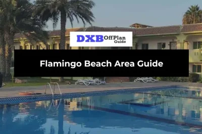 Flamingo Beach Area Guide: Everything You Need to Know Before You Visit or Invest